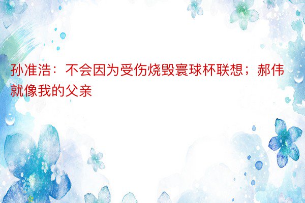 孙准浩：不会因为受伤烧毁寰球杯联想；郝伟就像我的父亲