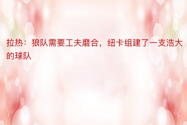 拉热：狼队需要工夫磨合，纽卡组建了一支浩大的球队